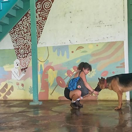 Finca Magdalena Eco Lodge Balgue Ngoại thất bức ảnh
