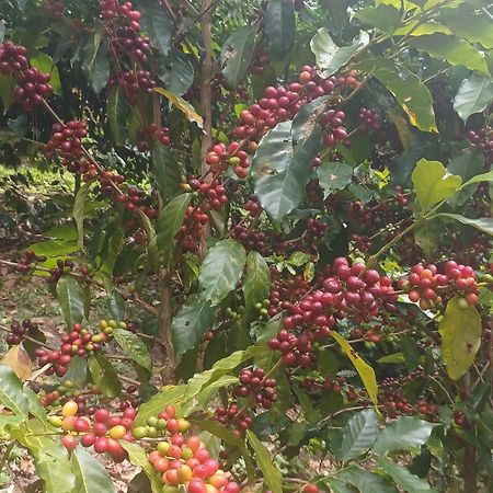 Finca Magdalena Eco Lodge Balgue Ngoại thất bức ảnh