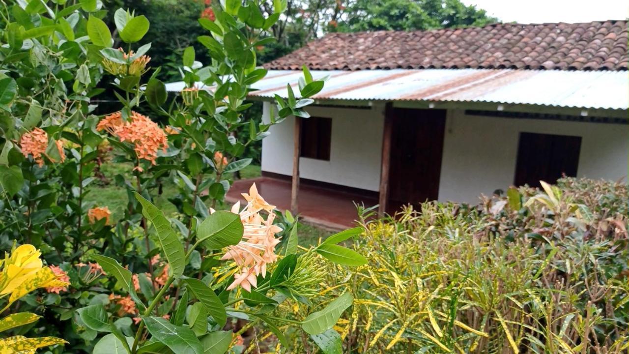 Finca Magdalena Eco Lodge Balgue Ngoại thất bức ảnh