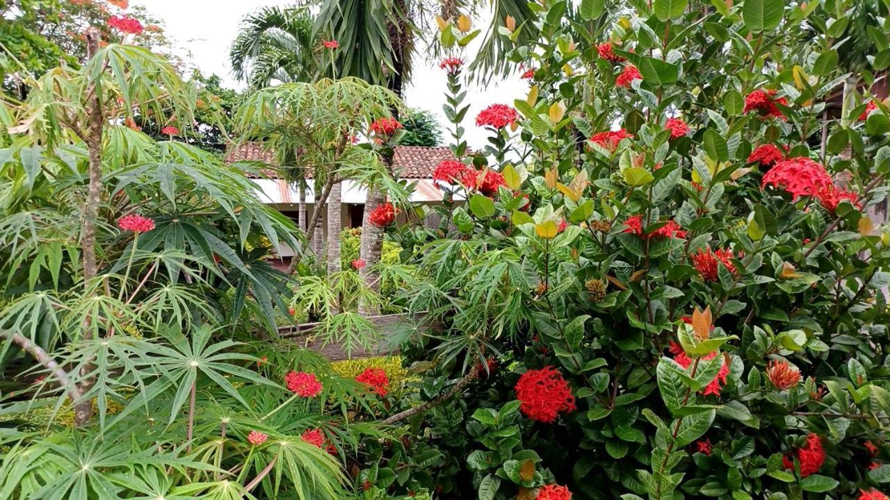 Finca Magdalena Eco Lodge Balgue Ngoại thất bức ảnh