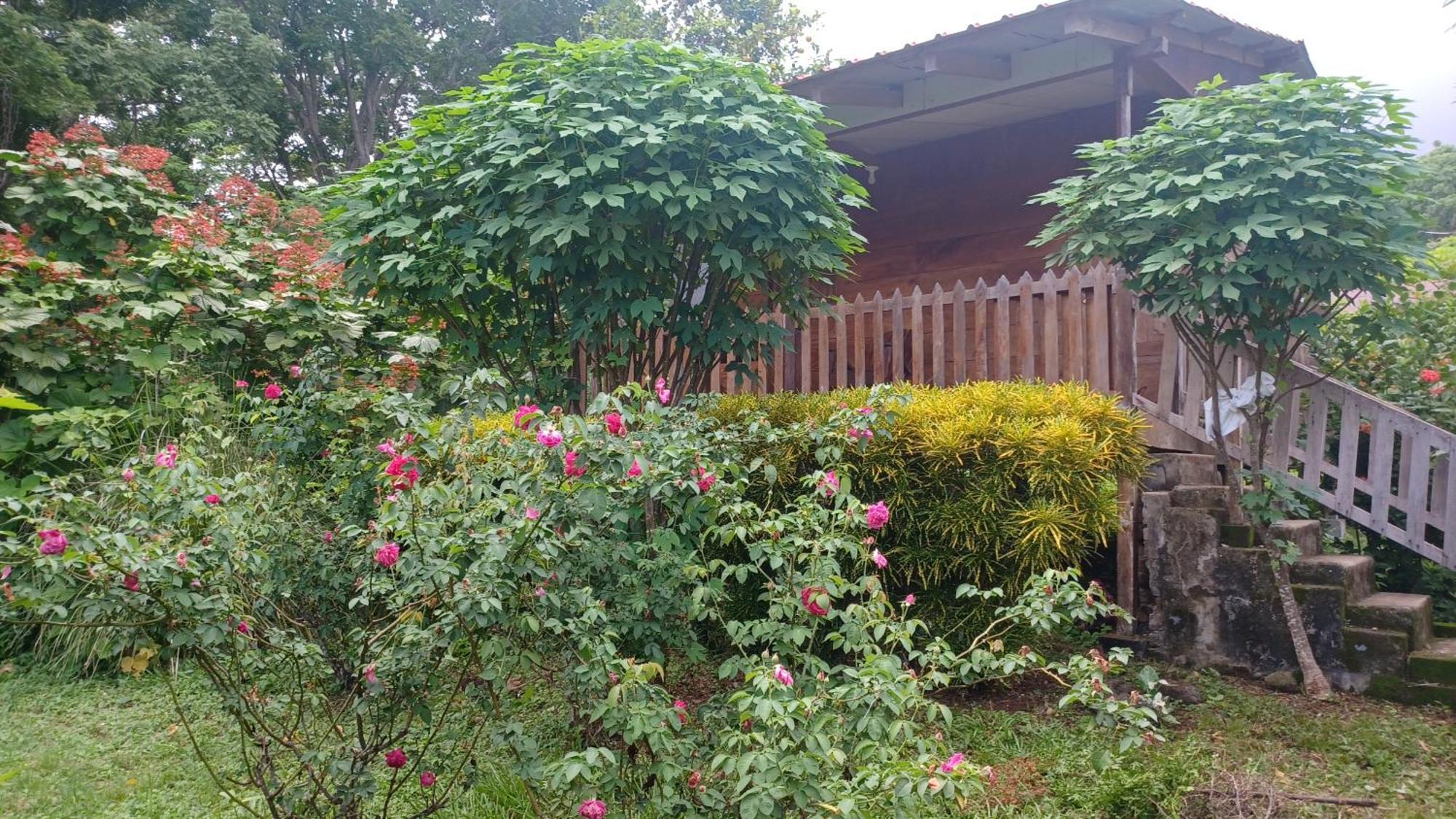 Finca Magdalena Eco Lodge Balgue Ngoại thất bức ảnh