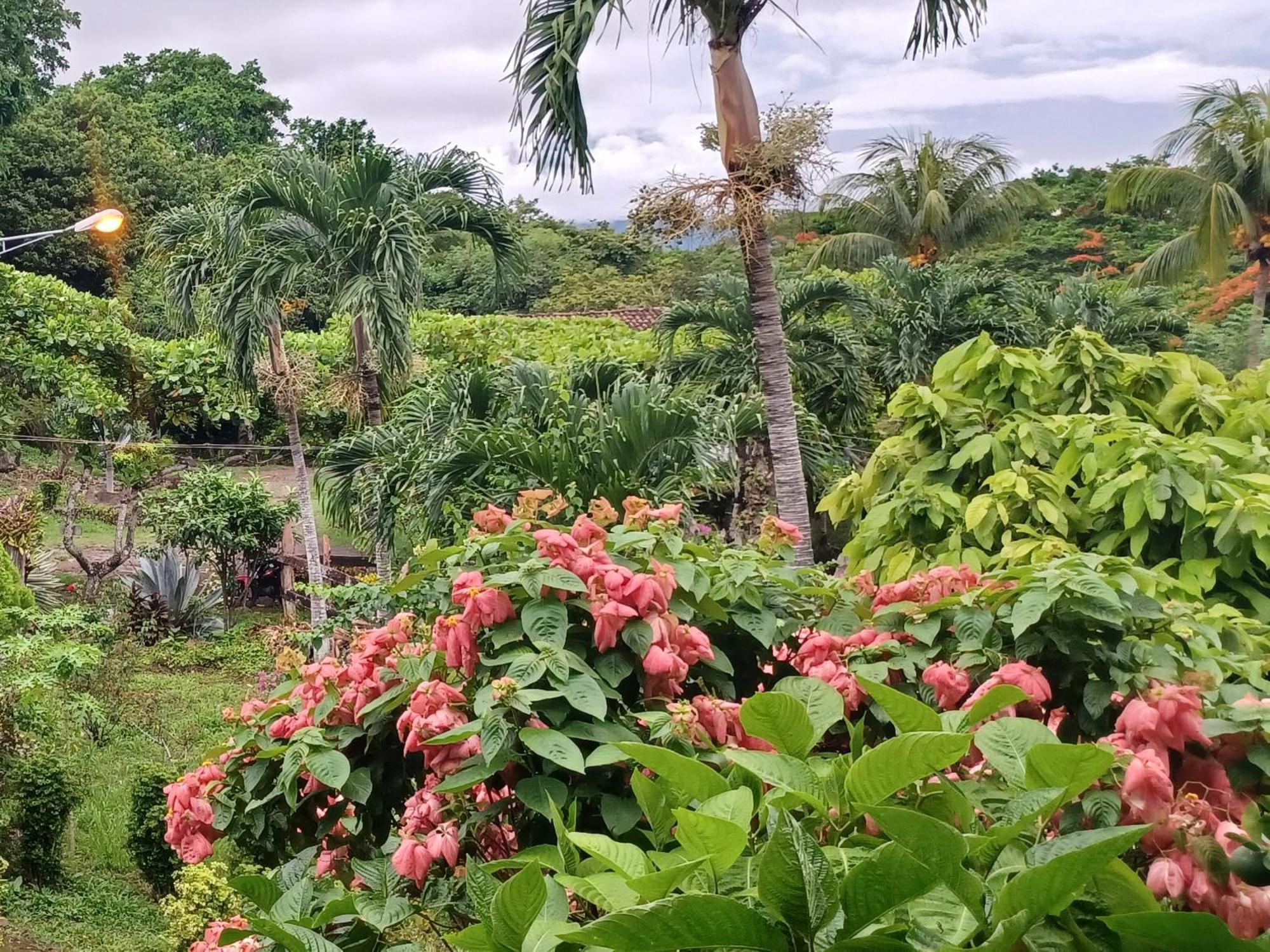 Finca Magdalena Eco Lodge Balgue Phòng bức ảnh
