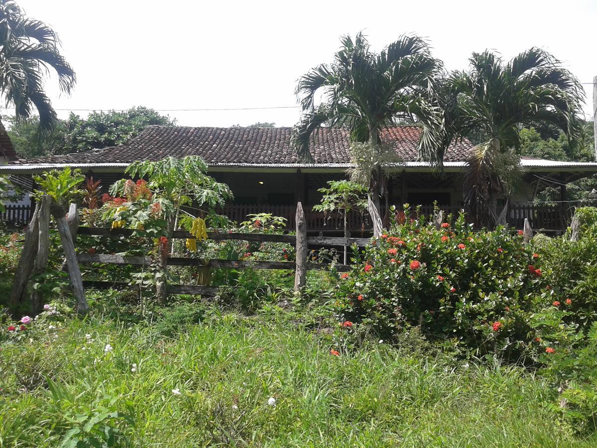 Finca Magdalena Eco Lodge Balgue Ngoại thất bức ảnh